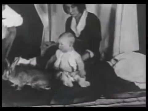 Cuộc thí nghiệm bắt đầu với việc Albert được cho tiếp xúc với chuột bạch, chó, thỏ trắng và một mặt nạ Santa Claus. Ban đầu, cậu bé vô cùng thích thú và không cảm thấy sợ hãi.