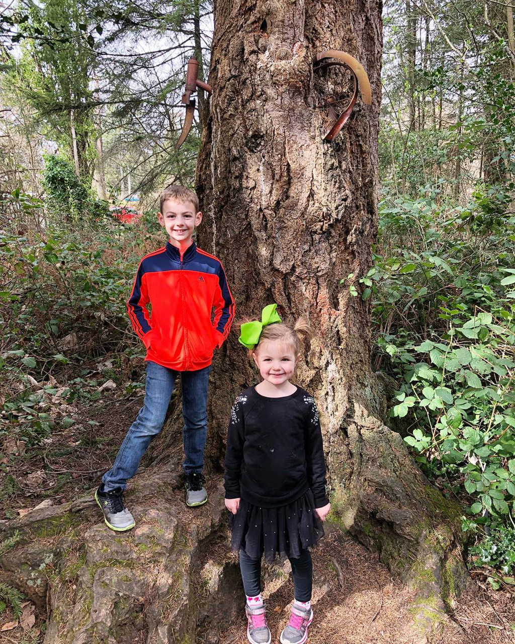 Nhiều câu chuyện được thêu dệt về cách chiếc xe đạp "mọc" giữa thân cây. Một số tin rằng chiếc xe thuộc về cậu bé đã buộc nó vào thân cây trước khi ra chiến trường nhưng không bao giờ trở lại. Câu chuyện khác lại kể về một nhân vật đã xích chiếc xe vào cây. Cậu có quá nhiều thứ để lo khi lớn lên và quên mất chiếc xe kia. Lâu dần, cây linh sam phát triển và nuốt trọn chiếc xe vào thân. Ảnh: Justin_Moffitt, Emma_rock_n_roll.