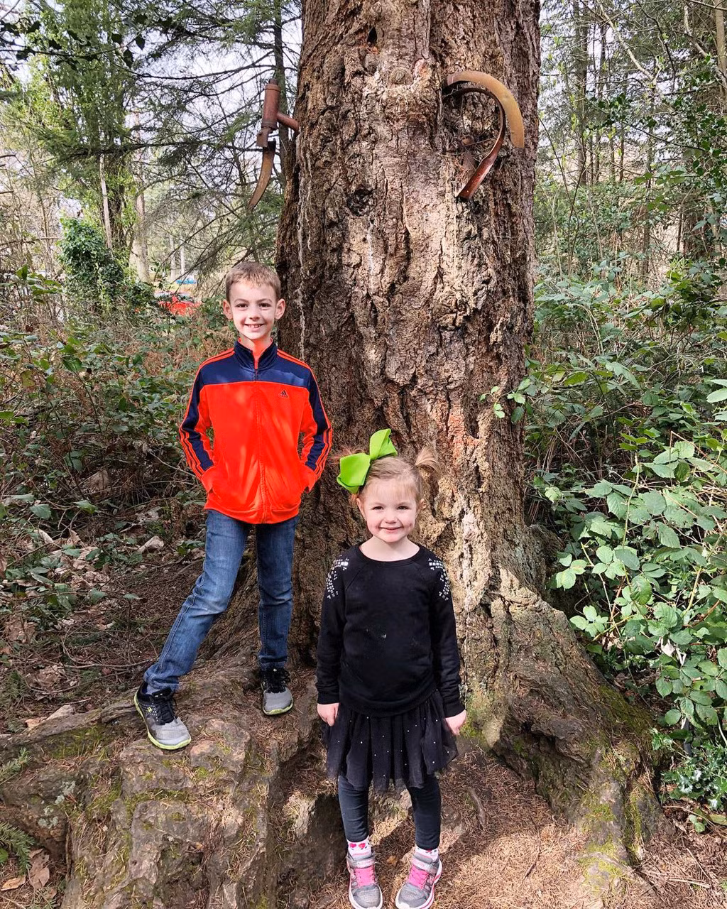 Nhiều câu chuyện được thêu dệt về cách chiếc xe đạp "mọc" giữa thân cây. Một số tin rằng chiếc xe thuộc về cậu bé đã buộc nó vào thân cây trước khi ra chiến trường nhưng không bao giờ trở lại. Câu chuyện khác lại kể về một nhân vật đã xích chiếc xe vào cây. Cậu có quá nhiều thứ để lo khi lớn lên và quên mất chiếc xe kia. Lâu dần, cây linh sam phát triển và nuốt trọn chiếc xe vào thân. Ảnh: Justin_Moffitt, Emma_rock_n_roll.