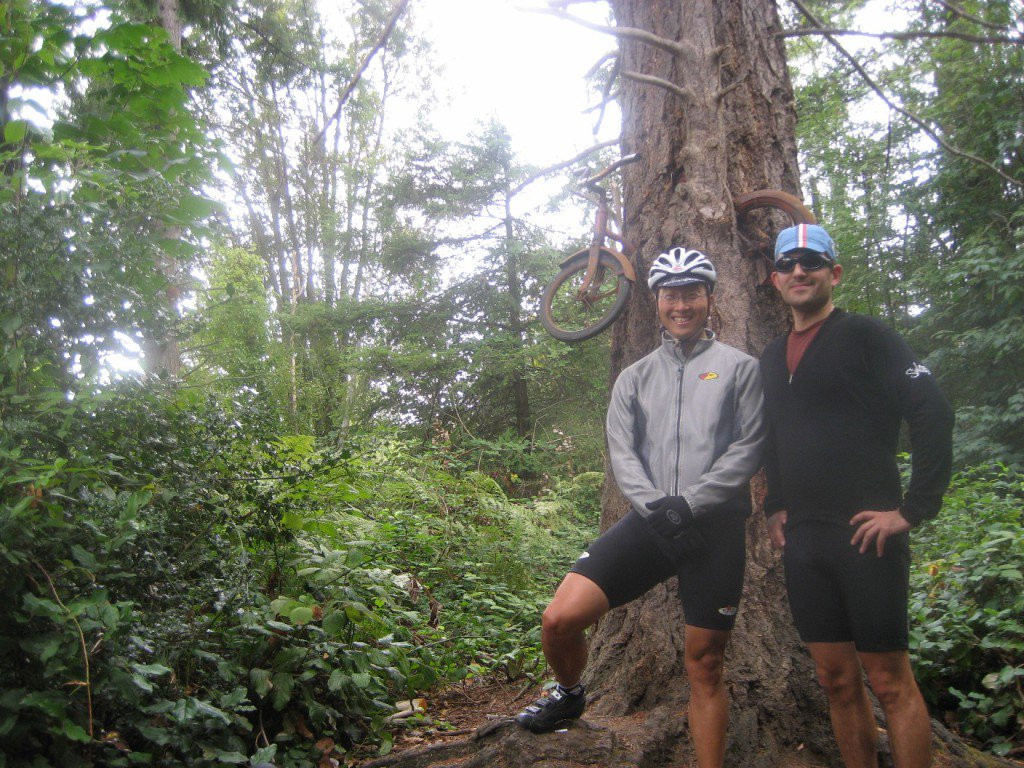 Tuy nhiên, điểm chung của các câu chuyện truyền miệng này là thiếu logic. Nhiều quan điểm đồng ý việc một cái cây nhặt xe đạp từ dưới đất lên, nhét vào thân là điều không tưởng. Giả thuyết ai đó đã đục thân cây và để chiếc xe vào cũng không mấy thuyết phục. Cho đến giờ, giới chuyên môn và các nhà chức trách địa phương vẫn chưa đưa ra lời giải đáp nào về hiện tượng kỳ lạ này. Ảnh: The Vintage News.