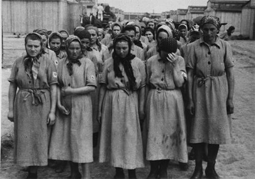 Để đàn chó càng hung dữ khiến phạm nhân chịu đau đớn nhiều hơn, Irma Grese quyết định bỏ đói những con vật trong vài ngày.