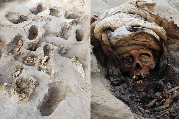 Theo các nhà khảo cổ, trong thời gian tới có thể sẽ tìm thêm được một số bộ hài cốt trẻ em nữa.