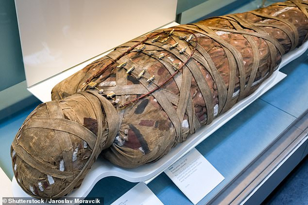 Thông thường, các nhà nghiên cứu sử dụng một kỹ thuật hình ảnh gọi là chụp cắt lớp điện toán để quét xác ướp với các mạch máu, nội tạng và xương. Tuy nhiên, kỹ thuật đó cho thấy canxi tích lũy không phải cholesterol trong các động mạch.