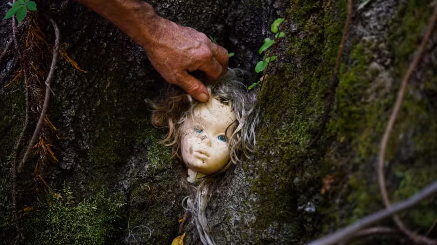 Ngược lại, không ít người cảm thấy thích thú khi đi bộ qua con đường đặc biệt này bởi họ có cơ hội trải nghiệm yếu tố kinh dị, thử thách sự can đảm.