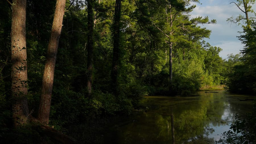 Nhiều người đi bộ khi di chuyển qua con đường mòn này có cảm giác như lạc vào một thế giới ma mị đầy bí ẩn và rùng rợn.