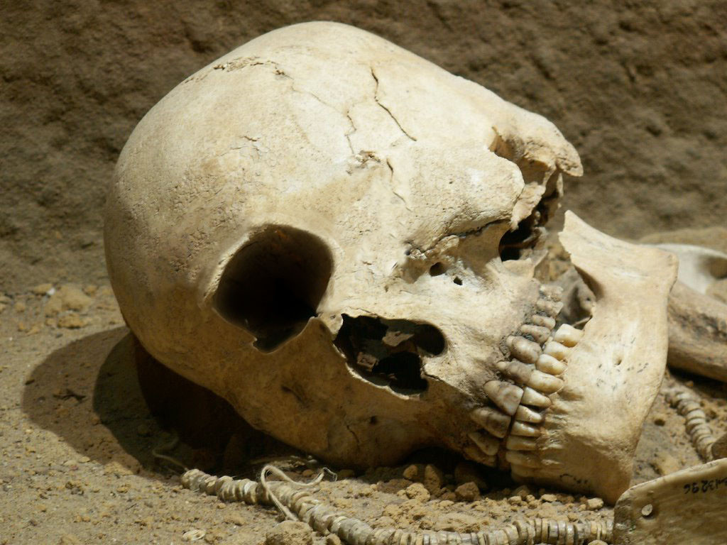 Điển hình là việc vào năm 1833, dư luận xôn xao trước thông tin các chuyên gia tìm thấy một bộ xương người cao 4m ở Lompock Rancho, California, Mỹ.