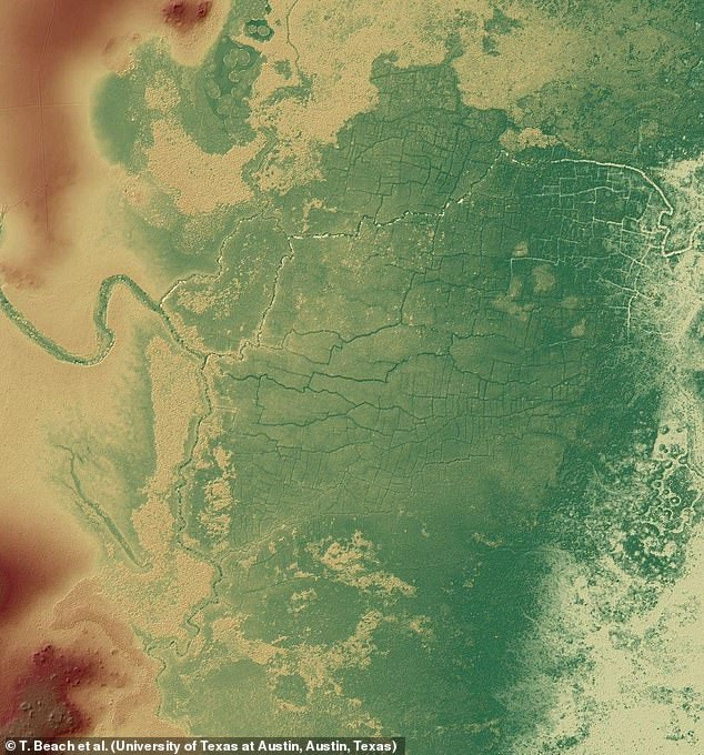 Mới đây, các nhà nghiên cứu thuộc Đại học Texas tìm thấy bằng chứng ở Belize hé lộ người Maya thường đào kênh ngòi và đốt rừng để canh tác nông nghiệp trong giai đoạn từ 1.800 - 1.000 năm trước.