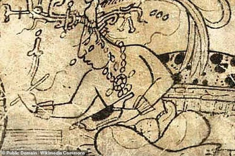 Thỉnh thoảng, nhiều cánh rừng bị người Maya chặt phá để nhường chỗ cho các kênh đào, mương thủy lợi.