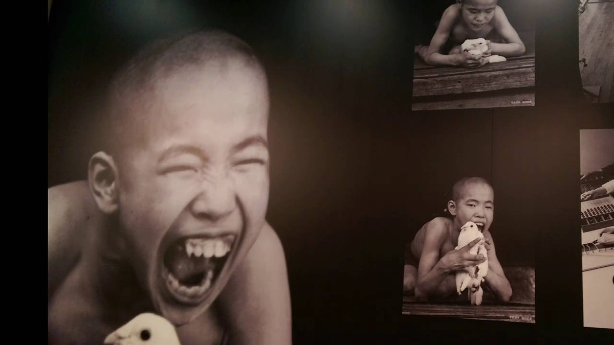 Vụ nhiễm độc thủy ngân đầu tiên được phát hiện năm 1956. Thế nhưng, đến năm 1968, chính quyền Nhật Bản mới chính thức kết luận nguyên nhân gây ra bệnh Minamata là do nhà máy Chisso xả thải gây ô nhiễm.