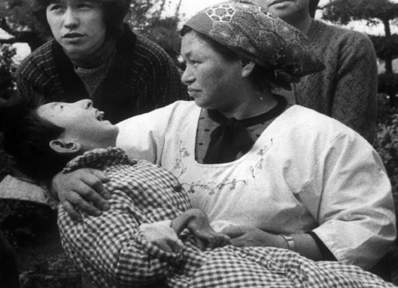 Hậu quả là cá biển chết hàng loạt, người dân và gia súc ăn hải sản ở khu vực vịnh Minamata và biển Shiranui bị nhiễm độc thủy ngân. Căn bệnh nguy hiểm mà người dân mắc phải được gọi là bệnh Minamata.