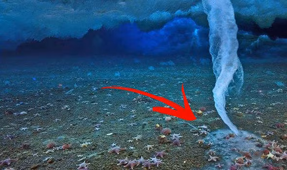 Theo các chuyên gia khoa học, hiện tượng brinicle hay còn gọi là " ngón tay tử thần" lần đầu được phát hiện vào đầu những năm 1960.