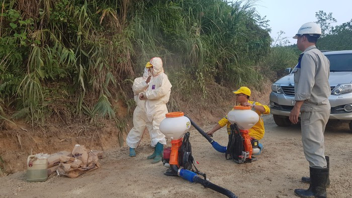 Nuoc may Ha Noi boc mui la: Khu trung khu vuc do dau thai bang 