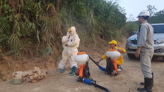 Nuoc may Ha Noi boc mui la: Khu trung khu vuc do dau thai bang 