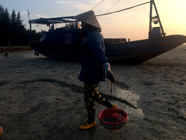 Giá sá sùng không phụ thuộc vào mùa mà phụ thuộc vào giá vàng trên thị trường. “Cứ giá vàng tăng thì giá sá sùng khô cũng tăng theo tỷ lệ tương đương và ngược lại”