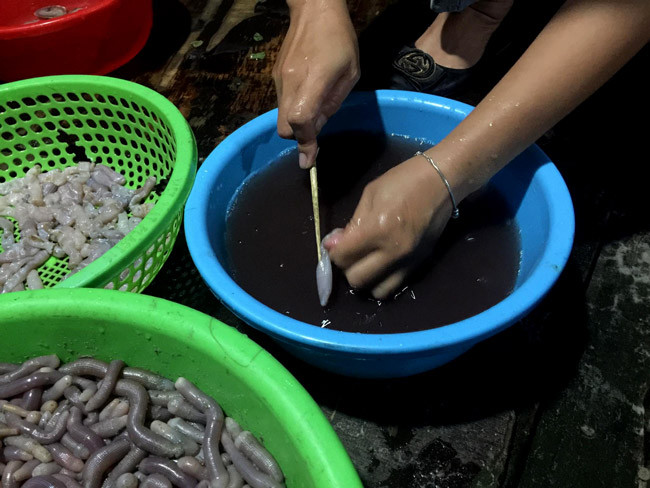 Ngày 5/11/2011, Bộ NN&amp;PT Nông thôn đã ra Thông tư, đưa sá sùng vào loài có nguy cơ tuyệt chủng, cần được bảo vệ, phục hồi và phát triển.