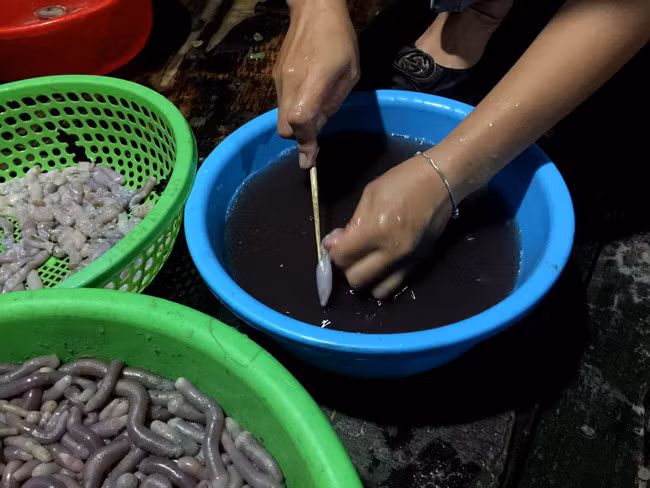 Ngày 5/11/2011, Bộ NN&amp;PT Nông thôn đã ra Thông tư, đưa sá sùng vào loài có nguy cơ tuyệt chủng, cần được bảo vệ, phục hồi và phát triển.