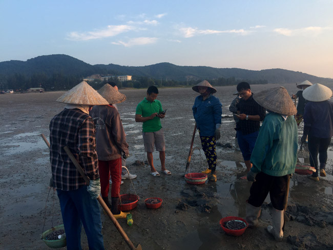 Để đào được những “thỏi vàng” từ dưới lòng cát, những người phụ nữ nơi đây ngoài kinh nghiệm ra còn phải rất tinh mắt bởi tổ của sá sùng rất nhỏ. “Thấy tổ của chúng, phải đào thật nhanh kẻo chúng bị động sẽ lủi sâu vào lòng cát” – chị Bình chia sẻ.