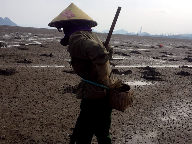 "Chẳng biết nghề này gắn liền với chúng tôi từ khi nào, chỉ biết là đời ông bà tôi cũng làm, đến đời bố mẹ tôi và giờ đến đời chúng tôi" – chị Hoa (xã Đông Tiến – huyện Vân Đồn) cho hay.