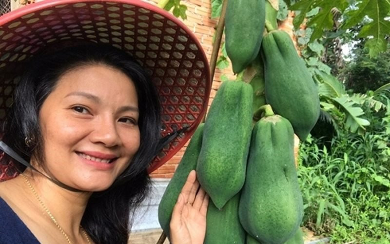 Ngôi nhà cấp 4 được dựng lên giữa vườn nhỏ nhắn nhưng xinh xắn và yên bình. Bên ngoài nữ nghệ sĩ trồng thêm cây ăn quả.