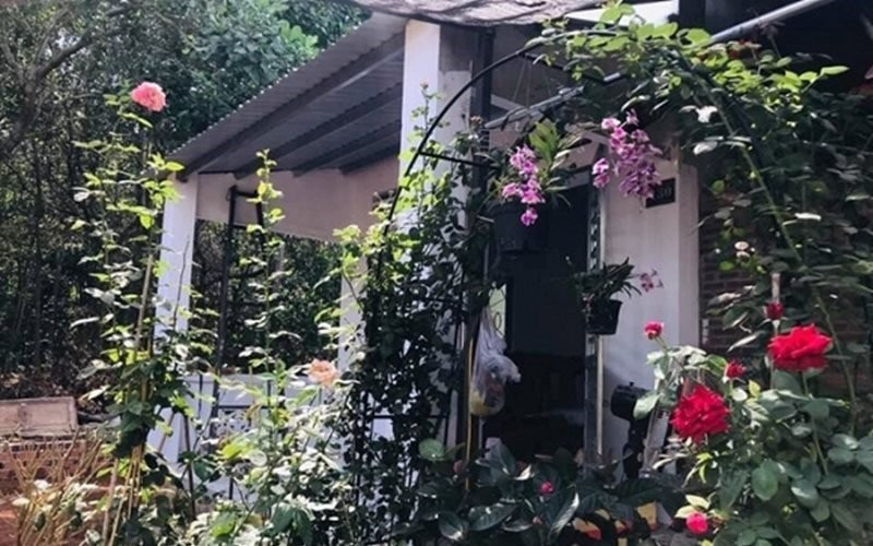 Ngoài căn nhà thuê hơn 20m2 trên Sài Gòn, mới đây cô tiết lộ thêm cơ ngơi khác của mình khiến nhiều người ngỡ ngàng. Được biết khu nhà vườn rộng 5.000m2 ở Bình Phước này là gia tài bố mẹ Kiều Trinh để lại.