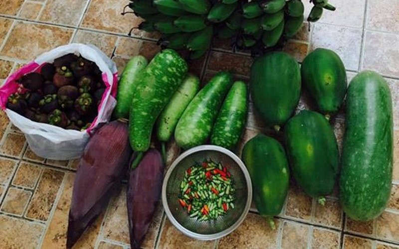 Có thể thấy trong vườn nhà cô có đủ các loại cây quả từ chuối, tới đu đủ, bầu bí…