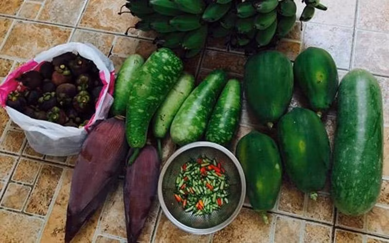 Có thể thấy trong vườn nhà cô có đủ các loại cây quả từ chuối, tới đu đủ, bầu bí…