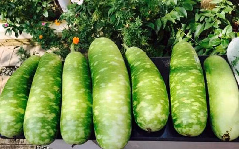 Người đẹp vô cùng hào hứng khoe thành quả lao động của mình.