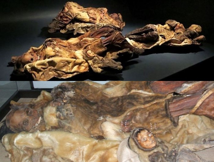 4 trong số 8 xác ướp trên đang được trưng bày tại Bảo tàng Quốc gia Greenland ở Nuuk.