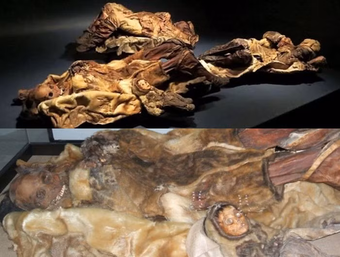 4 trong số 8 xác ướp trên đang được trưng bày tại Bảo tàng Quốc gia Greenland ở Nuuk.