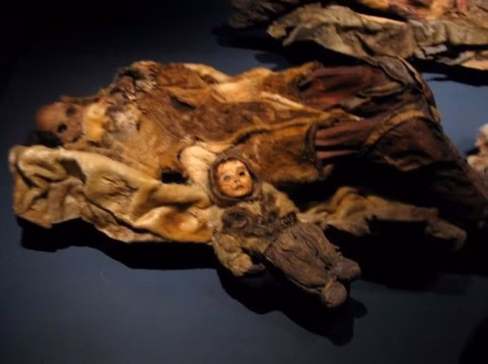 Ngoài bé trai này, các chuyên gia còn tìm thấy xác ướp của 6 phụ nữ và một bé gái khác lớn tuổi hơn.