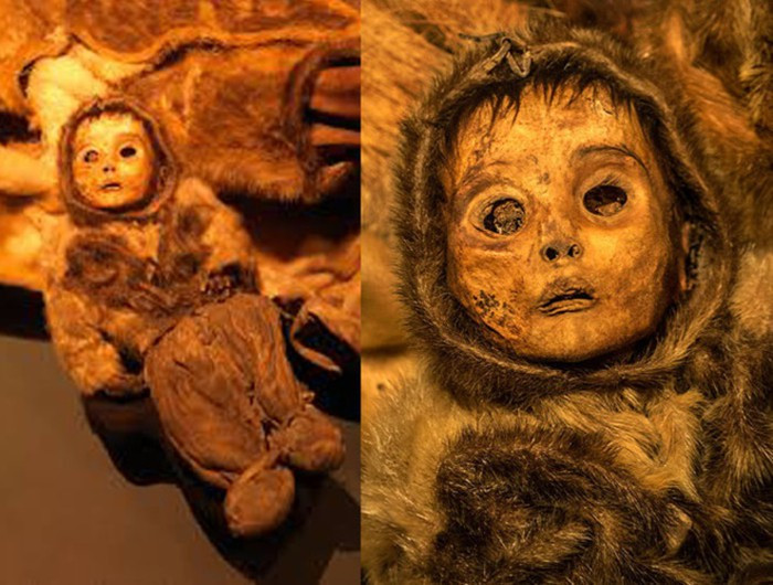 Các chuyên gia cho hay 8 xác ướp được chôn cất trong 2 ngôi mộ tập thể. Trong đó, ngôi mộ đầu tiên chôn 3 phụ nữ. Ngôi mộ thứ hai chôn 3 người phụ nữ còn lại và 2 trẻ em (bé trai 6 tháng tuổi và bé gái 4 tuổi).