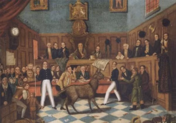 Không chỉ con người, động vật nếu bị xem là có tội khi phạm luật thì đều bị bắt giữ và đưa ra xét xử. Theo ước tính, ít nhất 85 phiên tòa xét xử động vật được tổ chức vào thời Trung cổ.