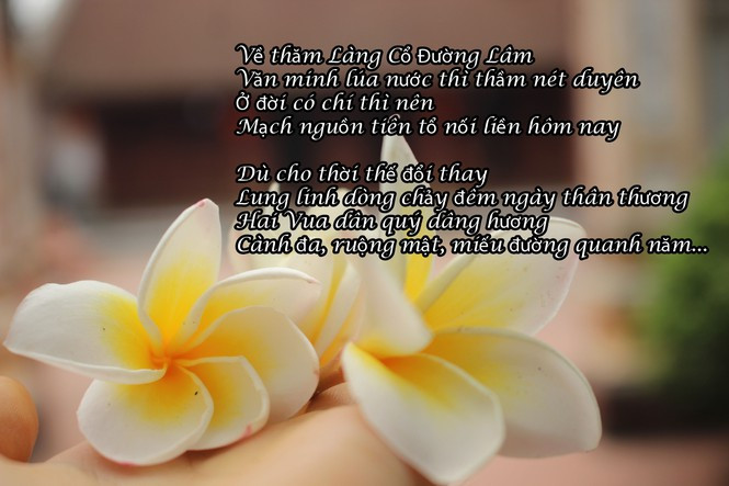 Một trích đoạn trong bài thơ "Làng cổ Đường Lâm" của Bùi Minh Trí.