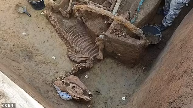 Để có thể đưa ra thông tin chính xác về niên đại của những hiện vật trên, các chuyên gia tiến hành một số phân tích và kiểm tra chuyên sâu hơn.