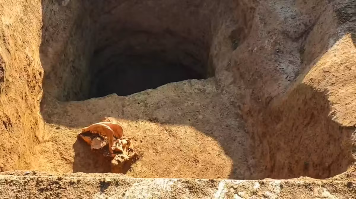 Theo ông Dizdar, các chuyên gia cũng quan tâm nhiều đến những con ngựa như chúng có nguồn từ đâu.