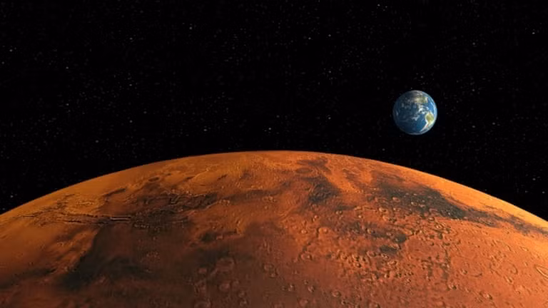 Thế nhưng, các chuyên gia của NASA không tìm thấy sự hiện diện của bất cứ sinh vật sống trong đất gần các địa điểm hạ cánh của tàu vũ trụ Viking 1 và 2.