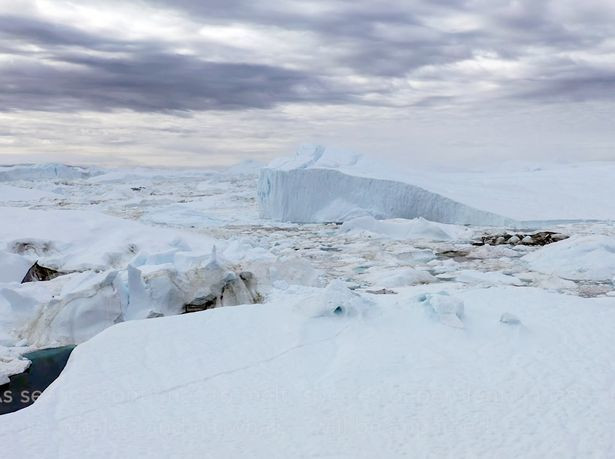 Choang vang lanh nguyen Bac Cuc bien thanh canh dong co hoa ruc ro-Hinh-3