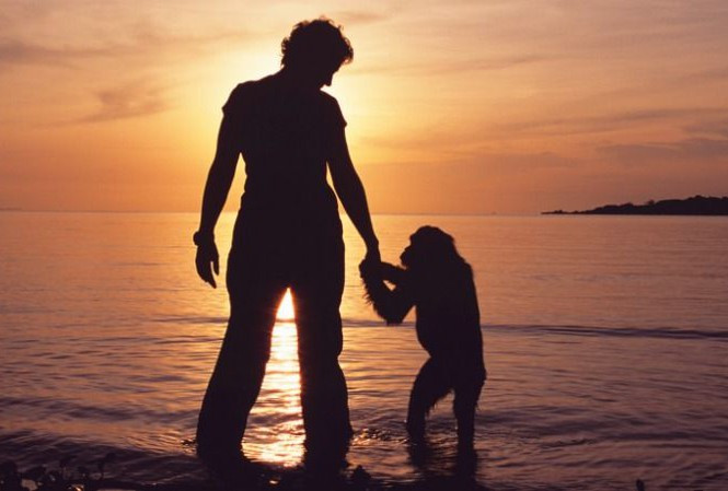 Nuoi tinh tinh nhu nguoi: Chuyen tinh the tham cua Lucy