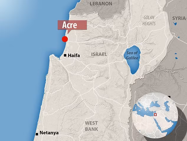 Hiệp sĩ Đền Thánh là những người sùng đạo Kitô với các kỹ năng chiến đấu dũng mãng thời Trung cổ. Những hiệp sĩ này chiến đấu trong các cuộc thập tự chinh bắt đầu từ thế kỷ 11 và sau đó nhận nhiệm vụ bảo vệ những người hành hương ở châu Âu tới các Thánh địa.