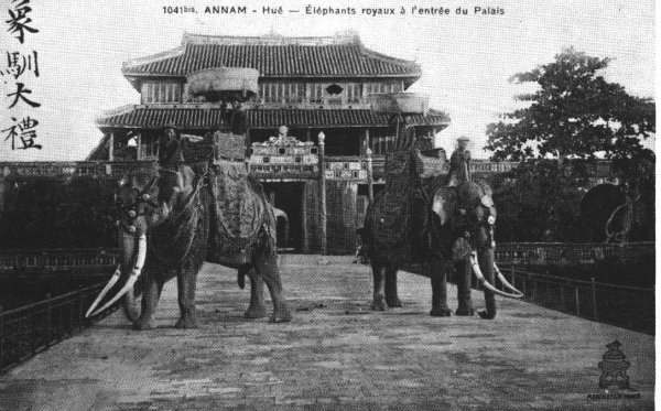 Bên cạnh ngựa, voi được triều đình phong kiến sử dụng và có cả lực lượng tượng binh.