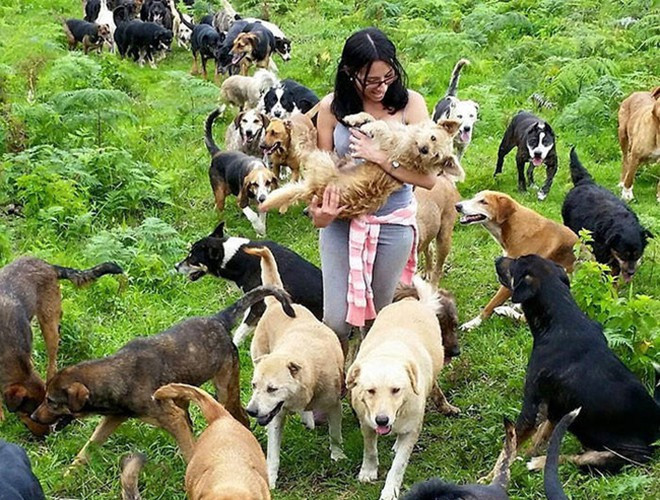 Mục tiêu của những tình nguyện viên là biến Territorio de Zaguates thành nơi mà những chú chó lai có thể sống và được tôn trọng. Ngoài ra, tổ chức còn tìm kiếm chủ nhân cho chúng. Việc nỗ lực "chạy" chiến dịch truyền thồng đã giúp tỷ lệ chó được nhận nuôi tăng lên đáng kể