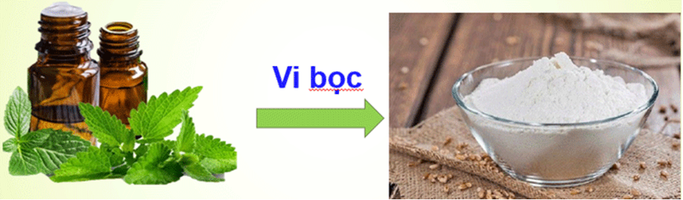 Sản xuất bột tinh dầu bằng kỹ thuật sấy phun - Hình 2 San xuat bot tinh dau bang ky thuat say phun-Hinh-2