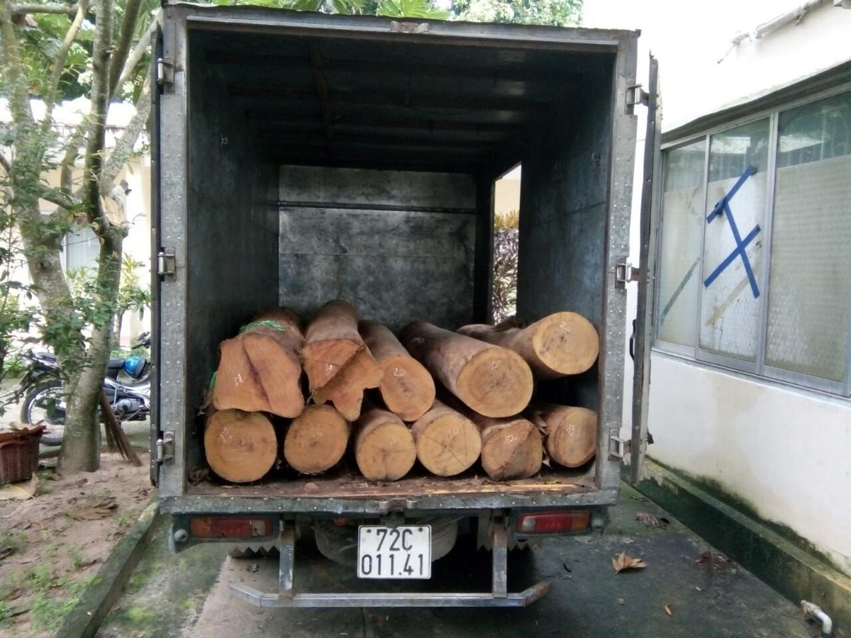 Ba Ria - Vung Tau: Phat hien 24 vu vi pham Luat lam nghiep