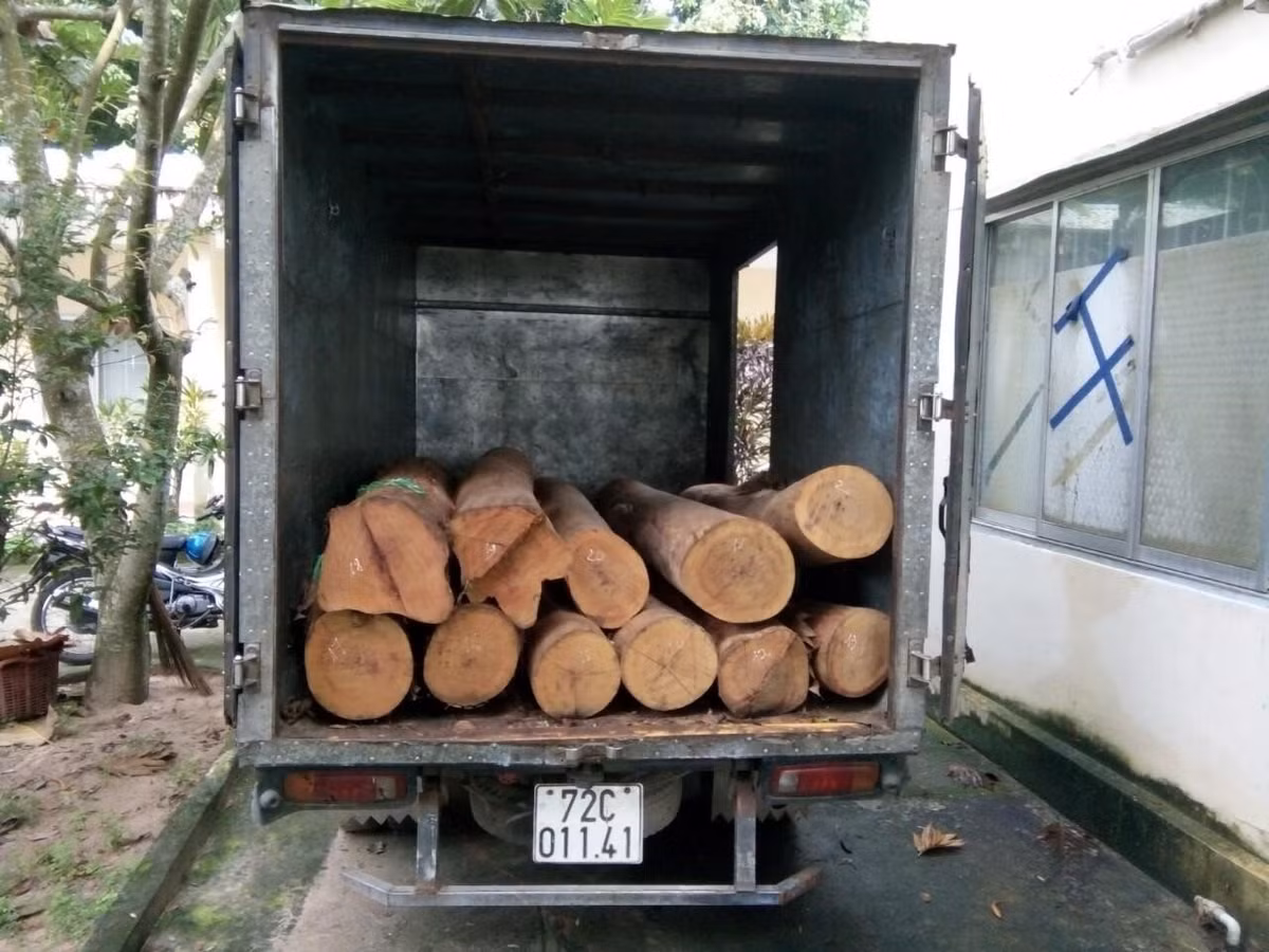 Ba Ria - Vung Tau: Phat hien 24 vu vi pham Luat lam nghiep