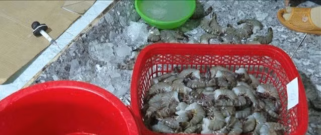 Bac Lieu: Co so bom tap chat vao tom bi phat 60 trieu dong-Hinh-2