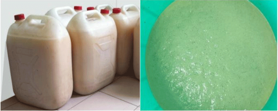 Che pham tu ba nam men bia tang mien dich cho nguoi benh