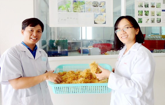 Có gì bí ẩn trong những sản phẩm vi sinh đa an toàn? Co gi bi an trong nhung san pham vi sinh da an toan?