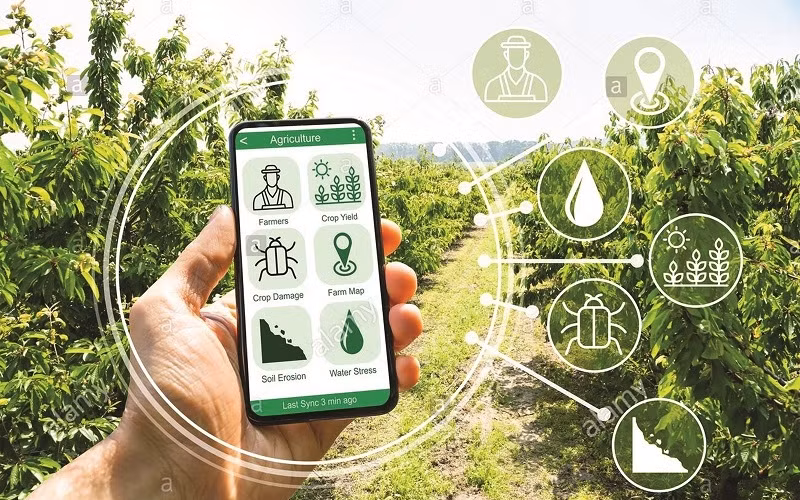 Nông nghiệp TP HCM sẽ chuyển đổi số như thế nào? - Hình 3 Nong nghiep TP HCM se chuyen doi so nhu the nao?-Hinh-3