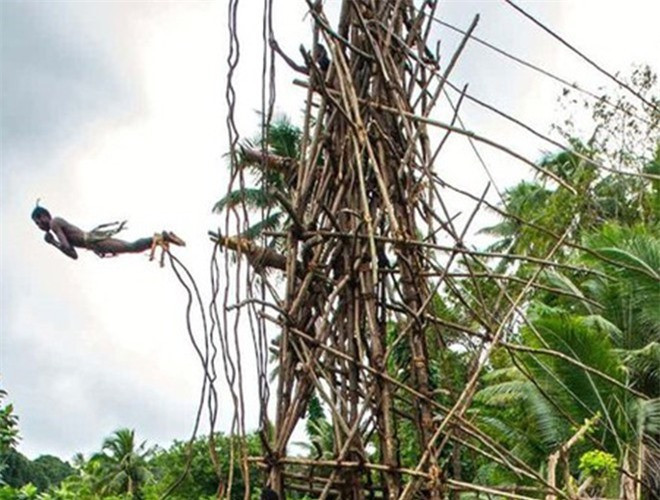 Cú nhảy là biểu tượng cho sự nam tính của một chàng trai. Đặc biệt, theo quan niệm của người dân nơi đây, khi tóc của những thanh niên tham gia nghi thức này chạm vào lớp đất bên dưới tháp gỗ thì vụ mùa tới sẽ được bội thu. Tuy nhiên, không ít người đã tử vong khi thực hiện cú nhảy đầy nguy hiểm này. 