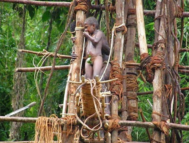Trước ngày diễn ra nghi lễ, người ta dùng các thanh gỗ và gậy mây dựng thành một giàn giáo cao khoảng 30 m. Khi bắt đầu, những chàng trai tự buộc dây vào chân, đứng từ đỉnh cao nhất và tiếp đất bằng cú nhảy có tên gọi "Naghol".